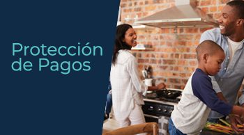 Protección de Pagos